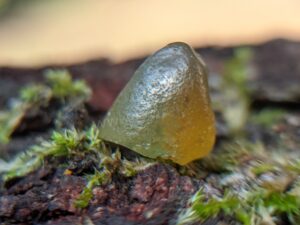 Rare Natural Bi colour Zircon Danu group collection