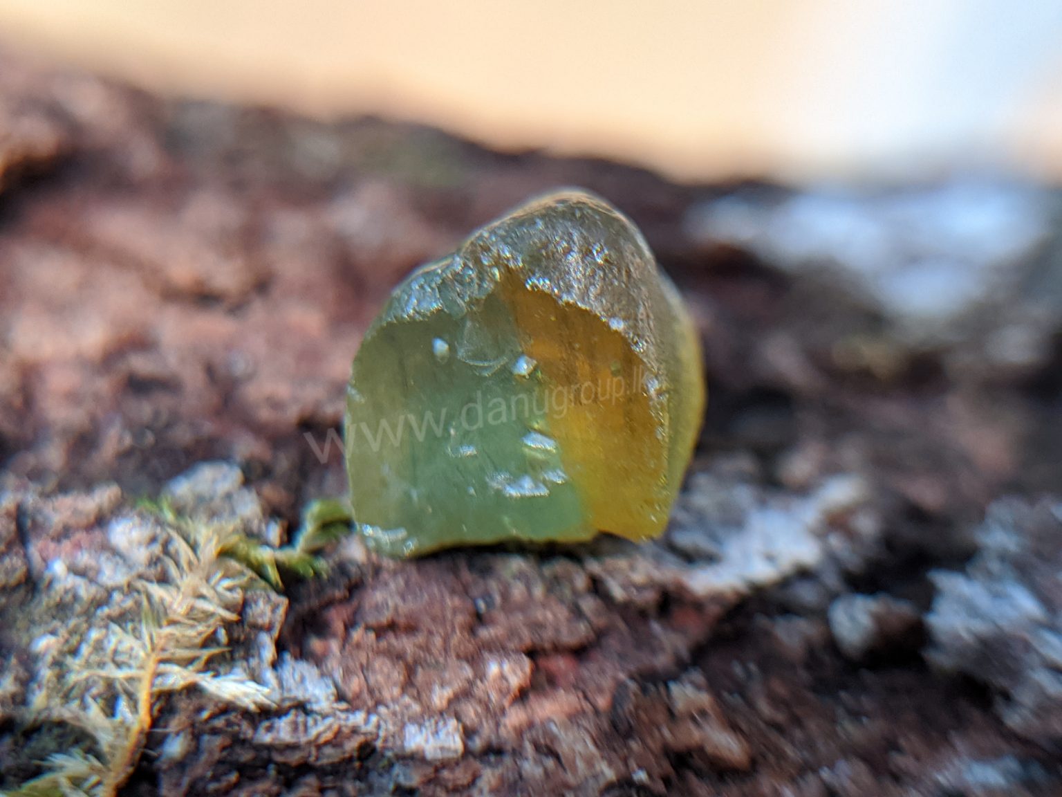 Rare Natural Bi colour Zircon Danu group collection