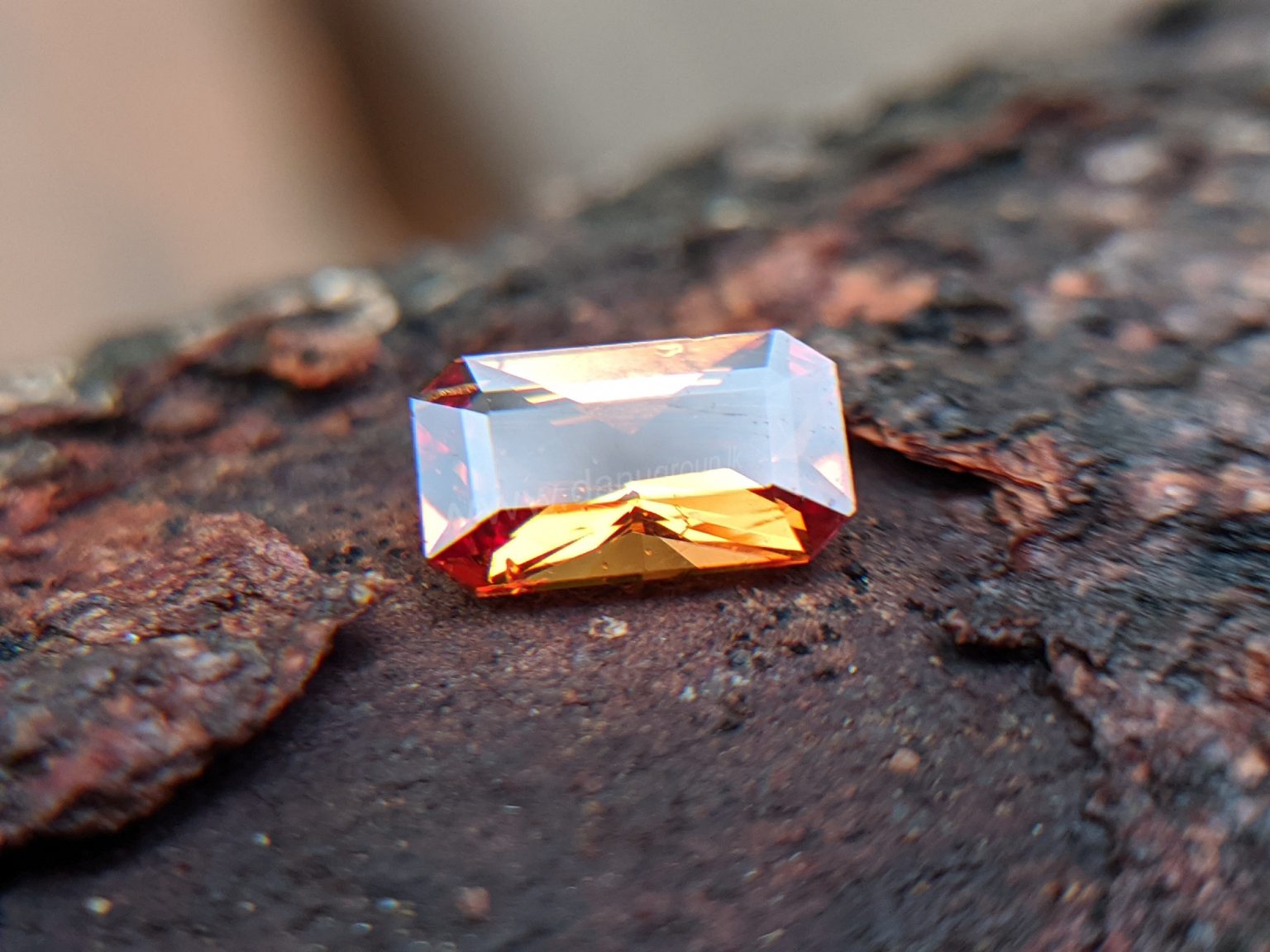 Brilliance Natural Sri Lankan spessartite Garnet from endana Danu Group Gemstones