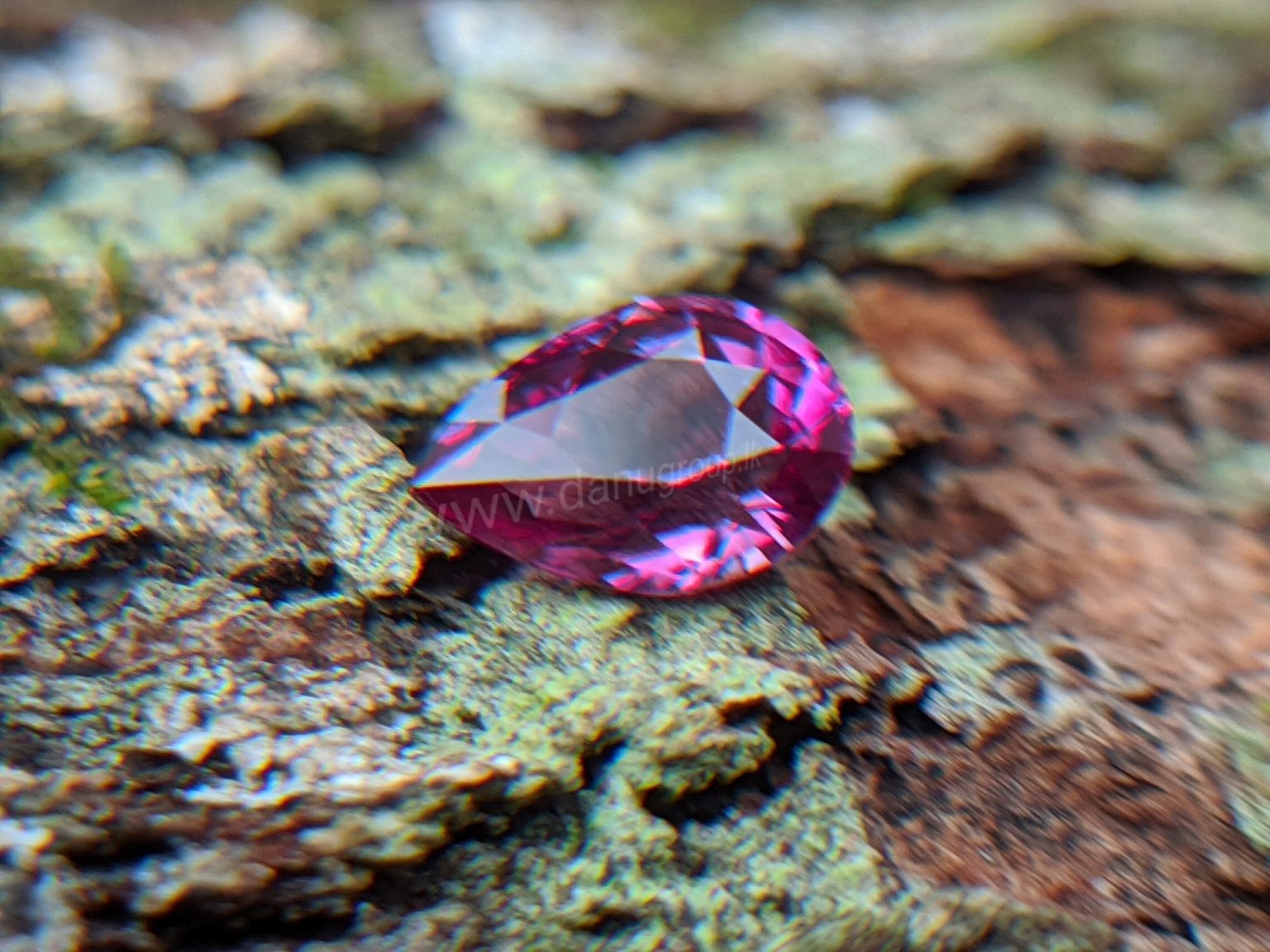 Ceylon Natural Pear Shape Pink Sapphire Gemstone from Danu Group Gemstones Mining