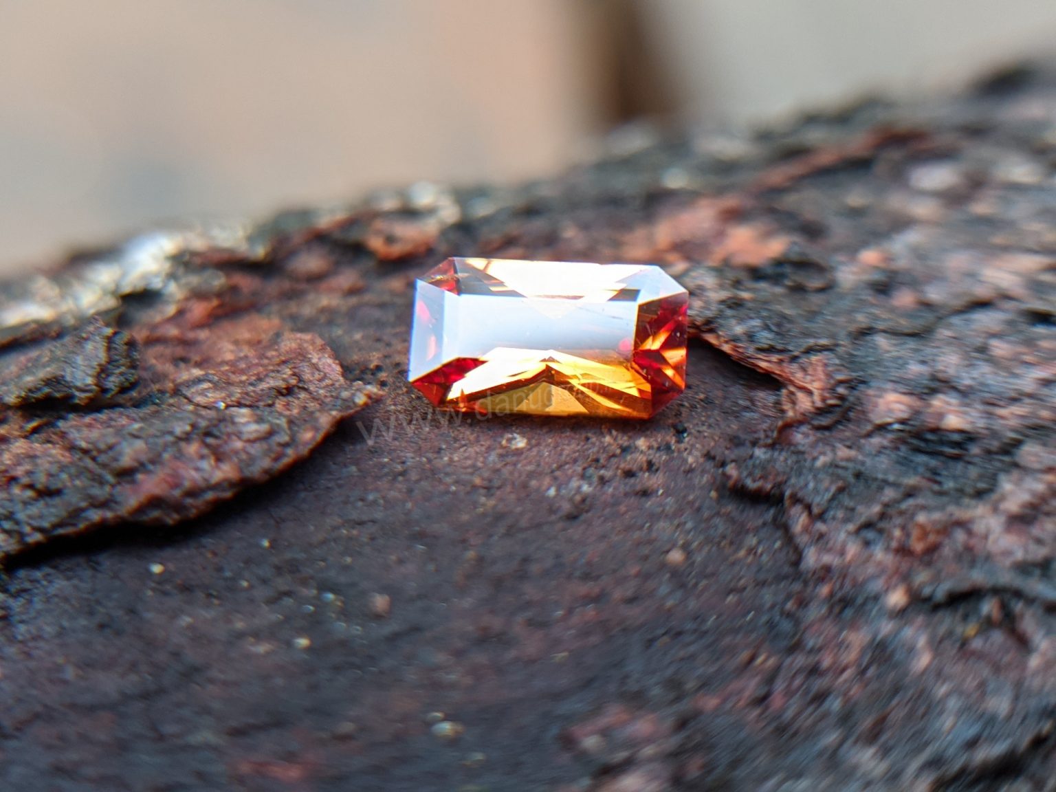 Brilliance Natural Sri Lankan spessartite Garnet from endana Danu Group Gemstones