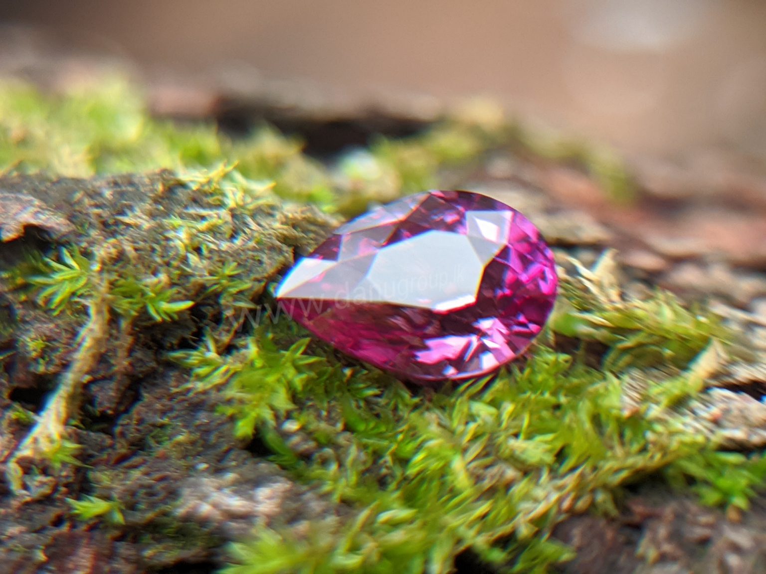 Ceylon Natural Pear Shape Pink Sapphire Gemstone from Danu Group Gemstones Mining