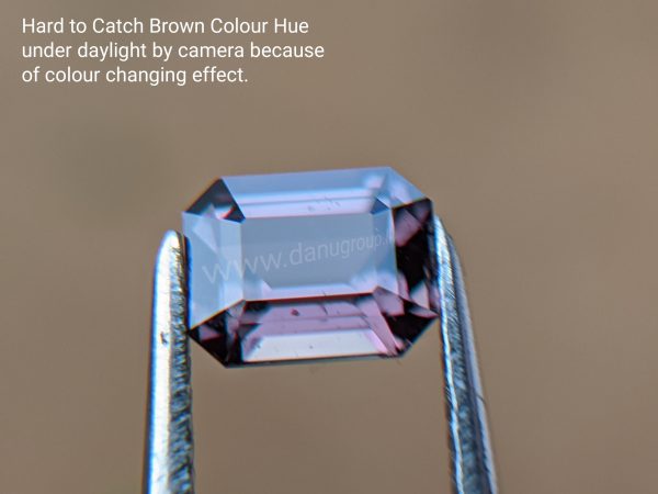 Natural Colour change Sapphire - Chocolate Brown to Red Danu Group Gemstones