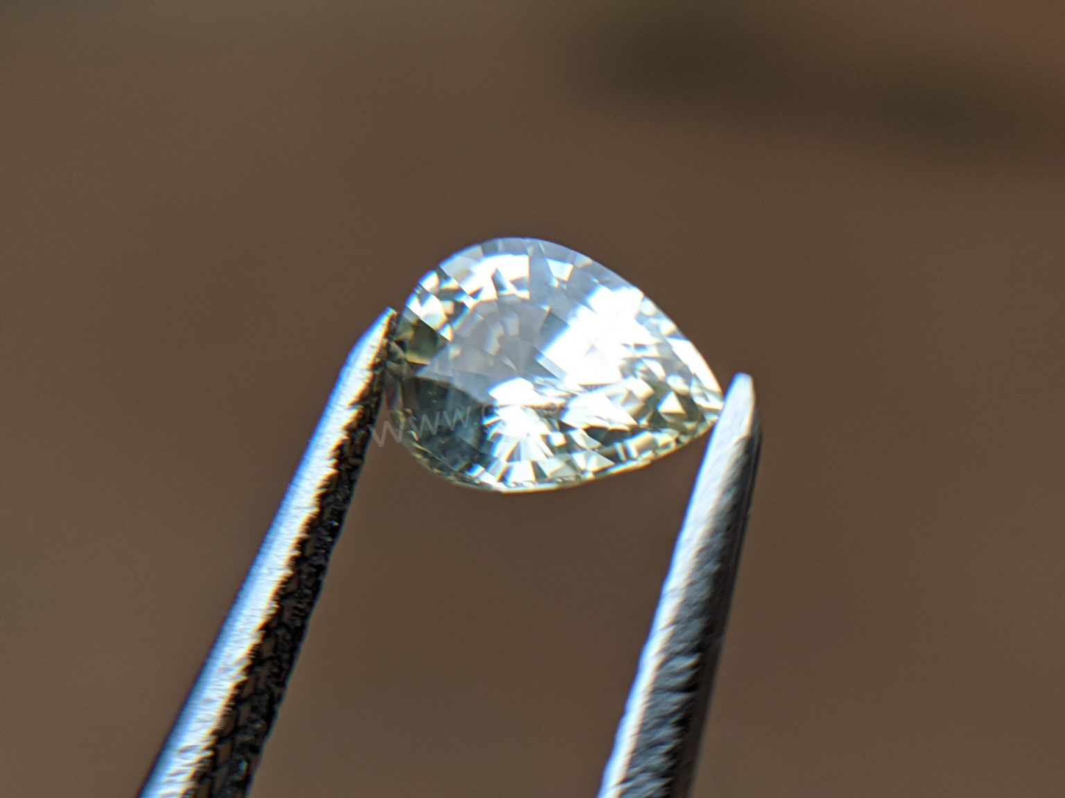 Ceylon Natural Yellow Sapphire from Danu Group Gemstones Collection Gem City