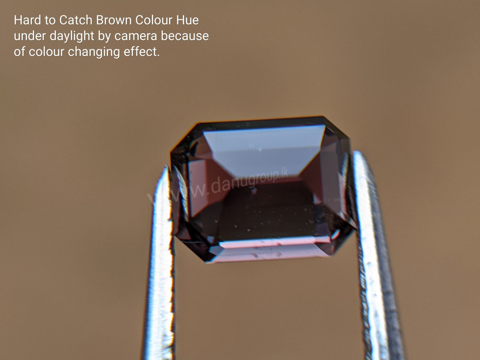 Natural Colour change Sapphire - Chocolate Brown to Red Danu Group Gemstones