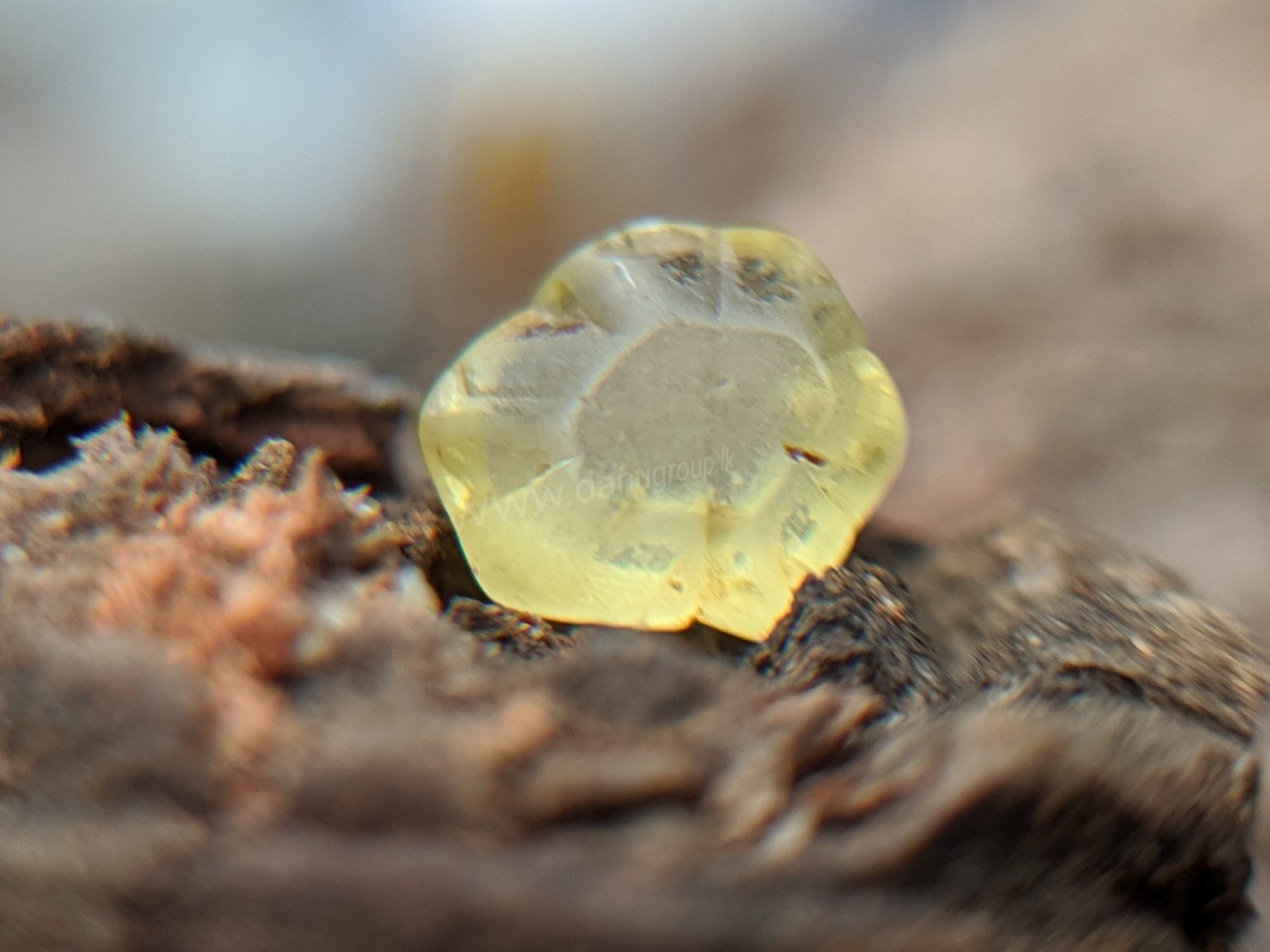 Ceylon Natural chrysoberyl Rare Crystal from Danu Group Gemstones Mining
