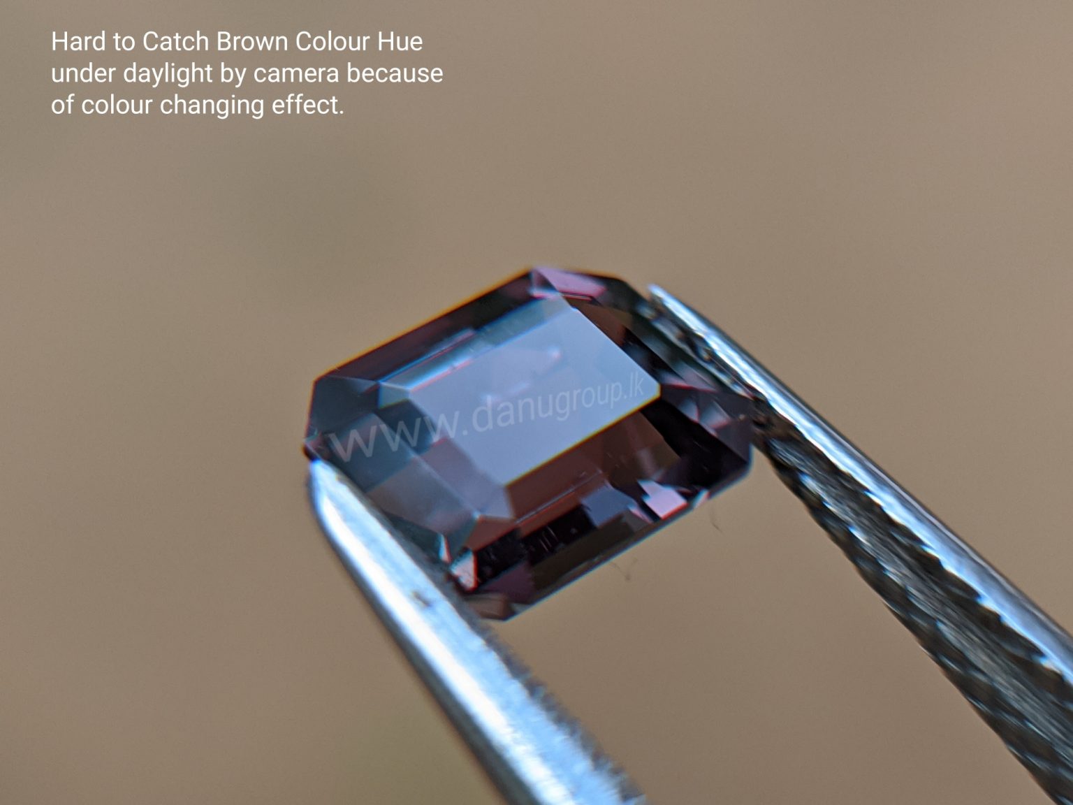 Natural Colour change Sapphire - Chocolate Brown to Red Danu Group Gemstones