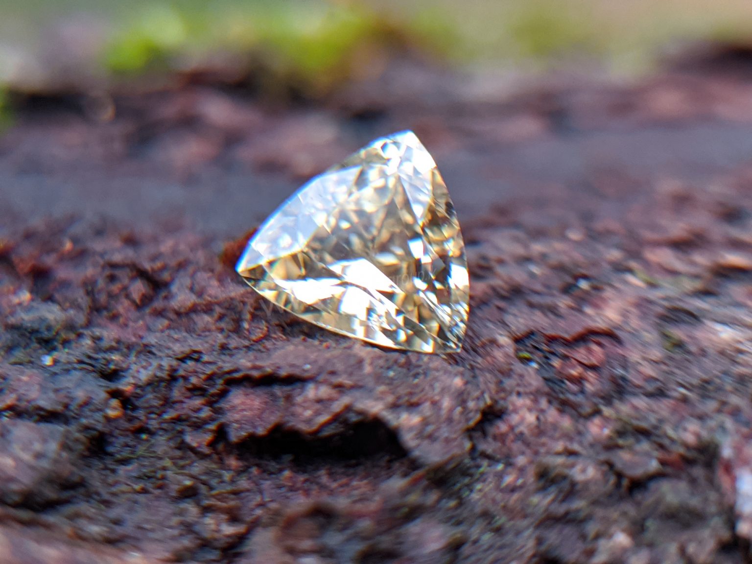 Ceylon Natural Yellow Sapphire from Danu Group Gemstones Collection Gem City