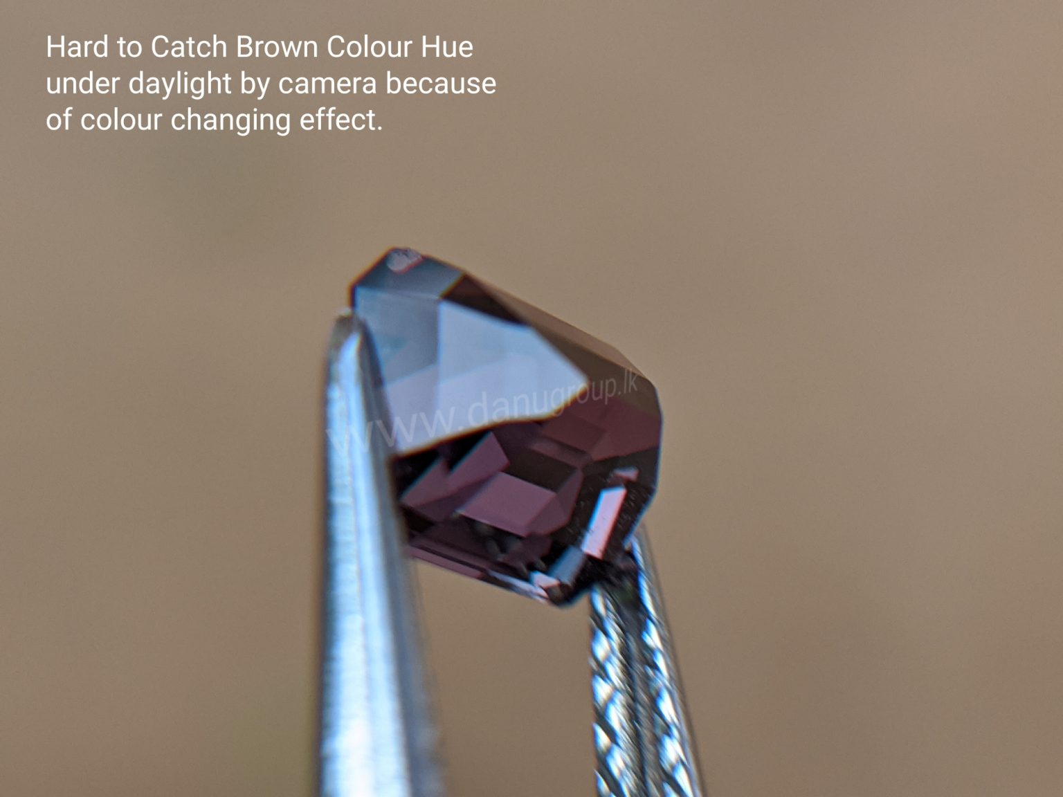 Natural Colour change Sapphire - Chocolate Brown to Red Danu Group Gemstones