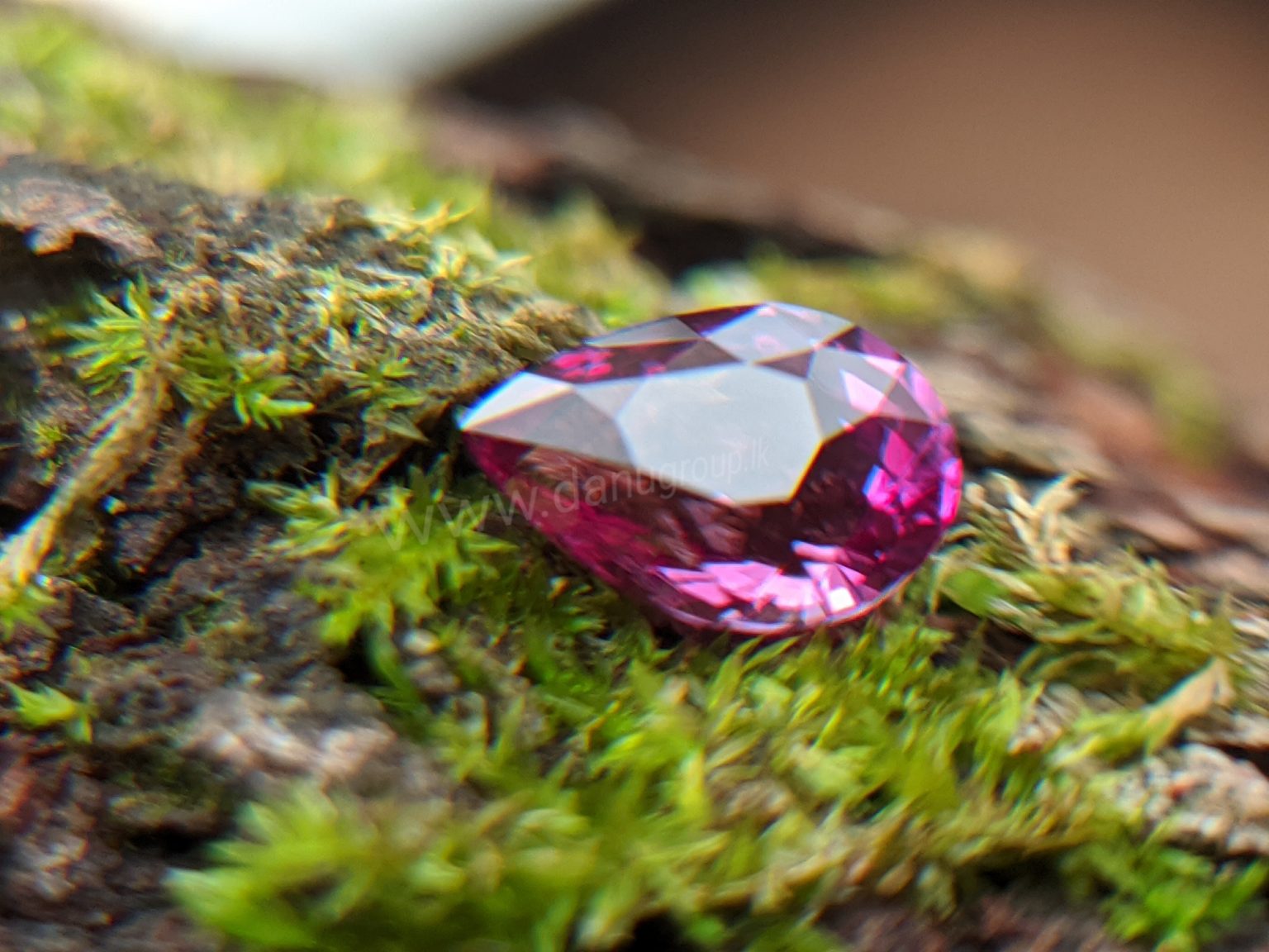 Ceylon Natural Pear Shape Pink Sapphire Gemstone from Danu Group Gemstones Mining