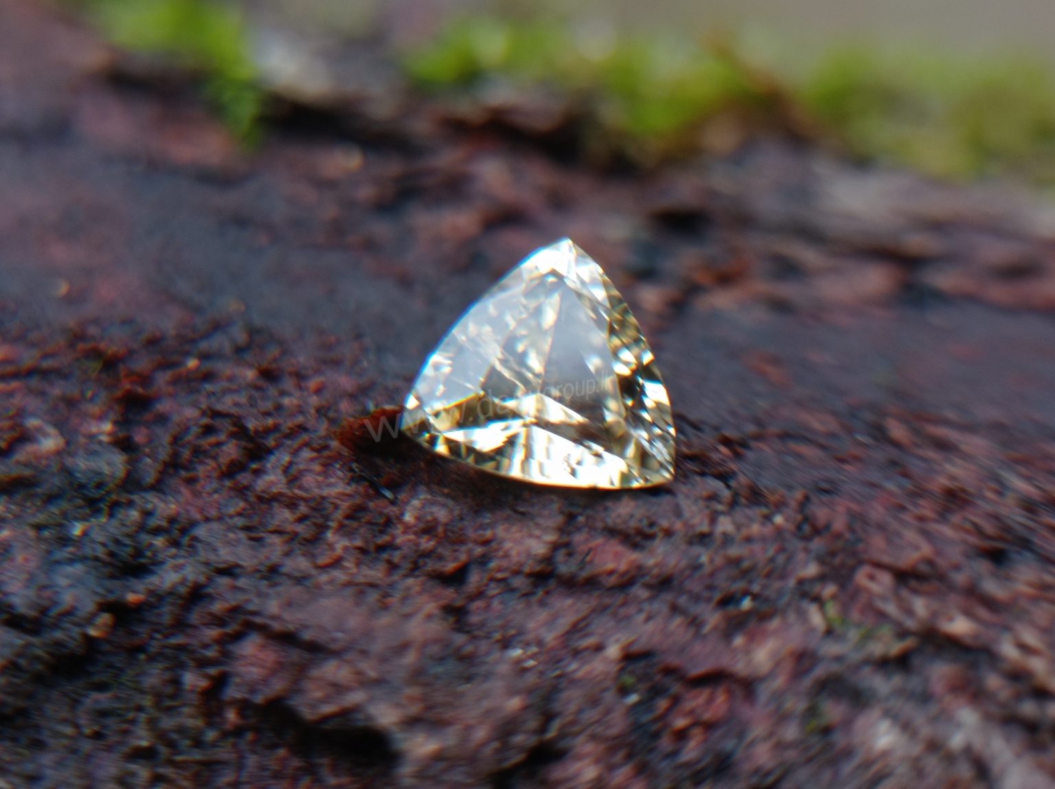 Ceylon Natural Yellow Sapphire from Danu Group Gemstones Collection Gem City