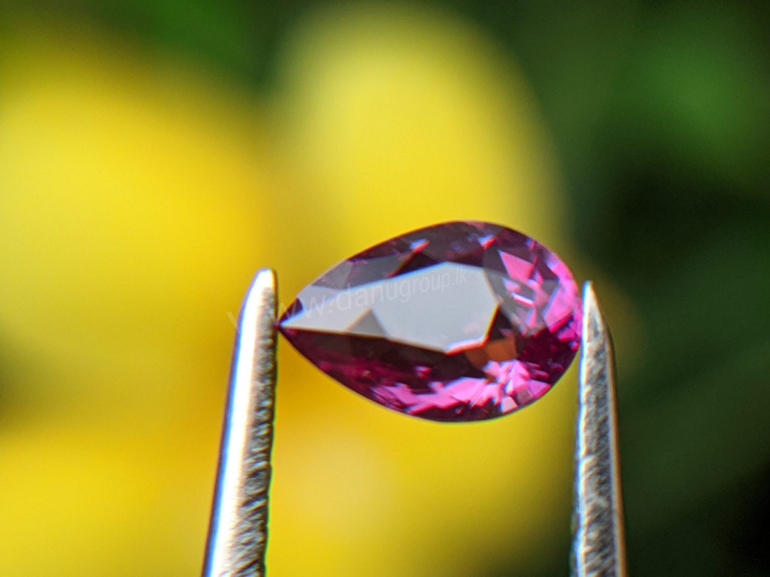 Ceylon Natural Pear Shape Pink Sapphire Gemstone from Danu Group Gemstones Mining