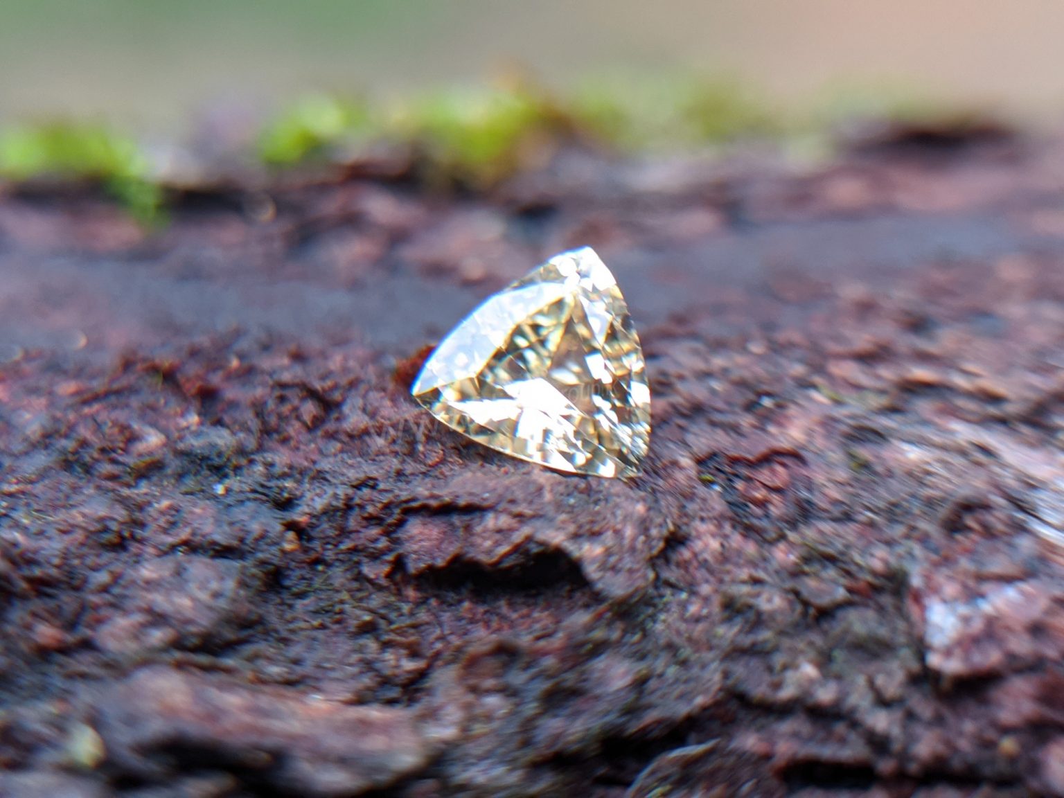 Ceylon Natural Yellow Sapphire from Danu Group Gemstones Collection Gem City