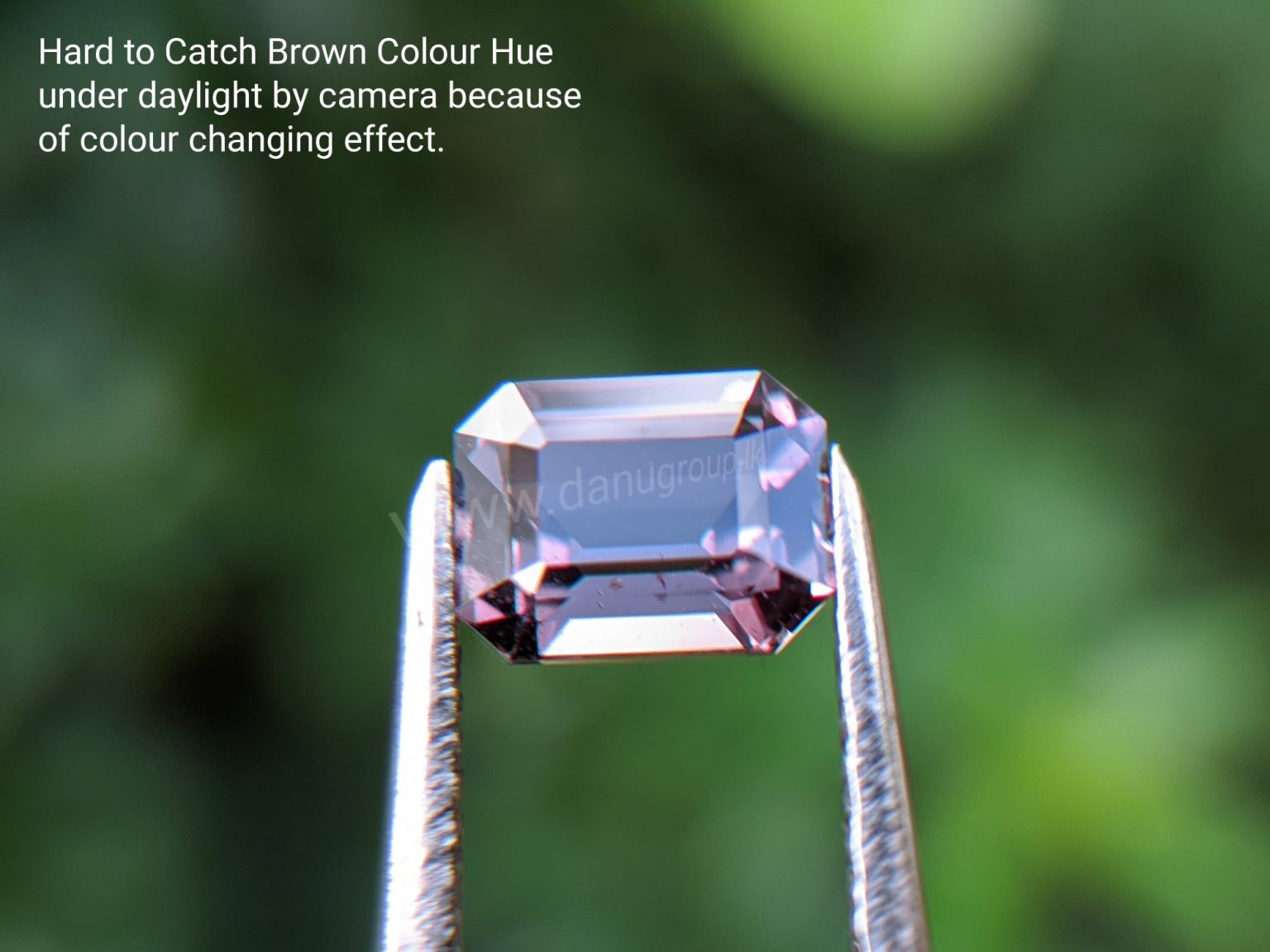 Natural Colour change Sapphire - Chocolate Brown to Red Danu Group Gemstones