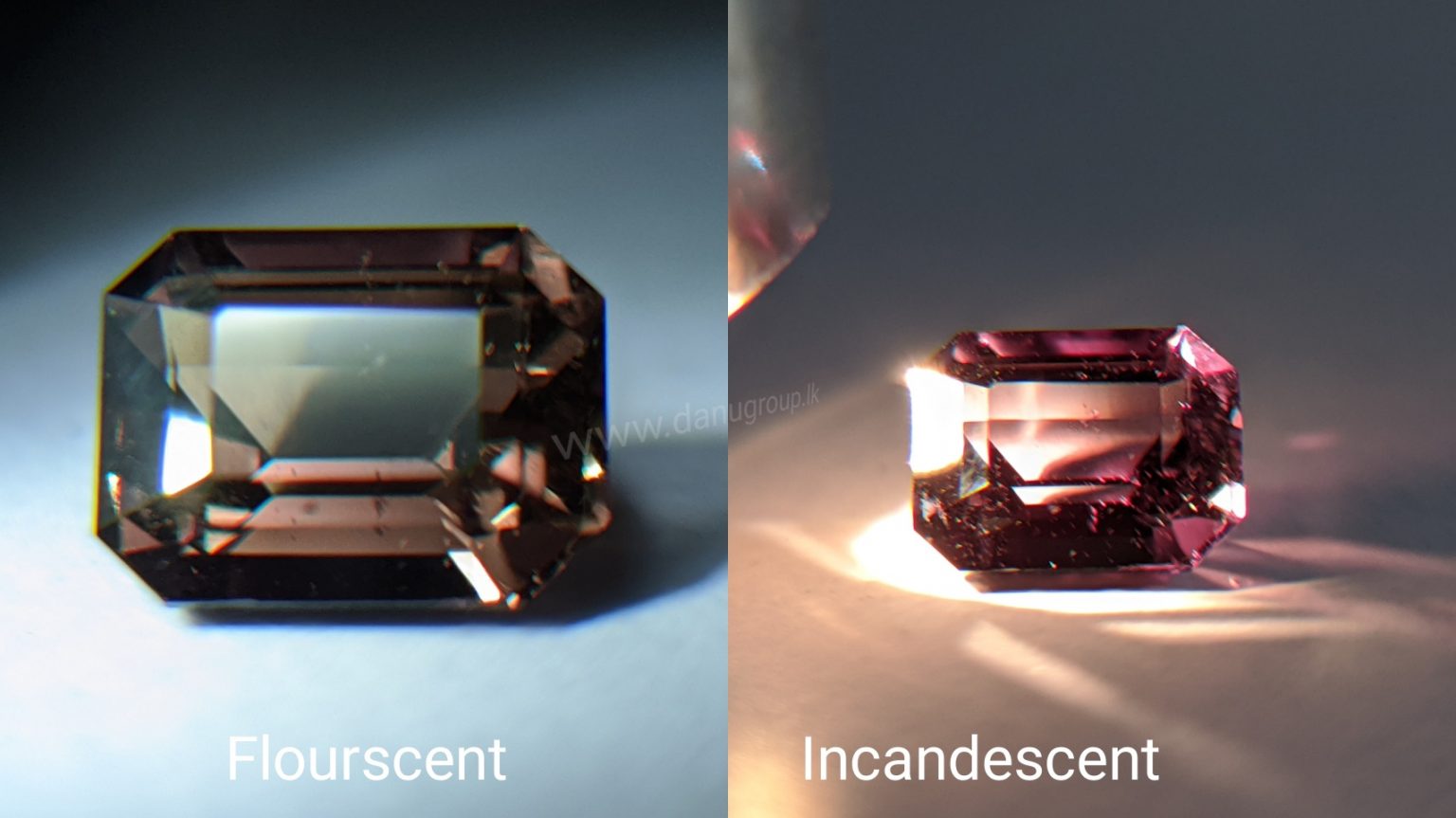Natural Colour change Sapphire - Chocolate Brown to Red Danu Group Gemstones