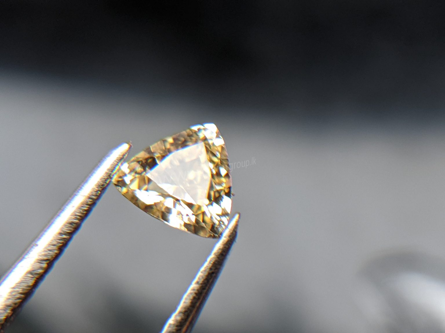 Ceylon Natural Yellow Sapphire from Danu Group Gemstones Collection Gem City