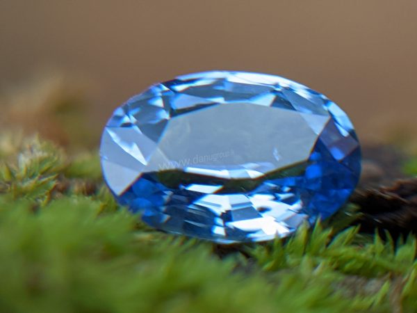 Ceylon Natural Cornflower Blue Sapphire Sri Lanka - Danu Group Gemstones