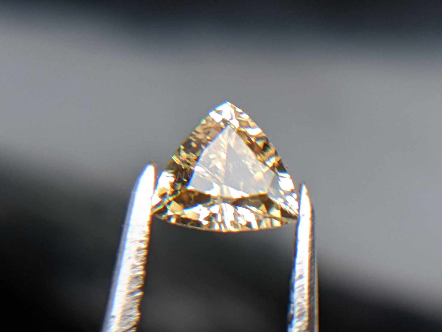 Ceylon Natural Yellow Sapphire from Danu Group Gemstones Collection Gem City