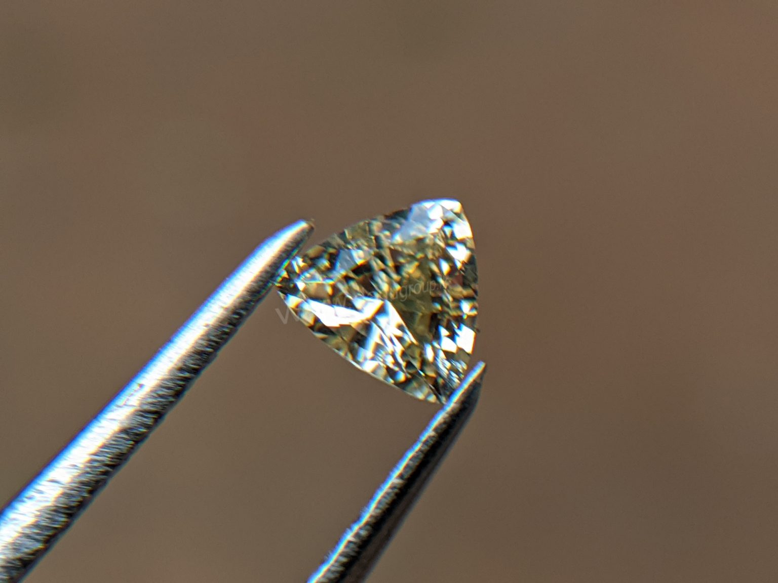 Ceylon Natural Yellow Sapphire from Danu Group Gemstones Collection Gem City