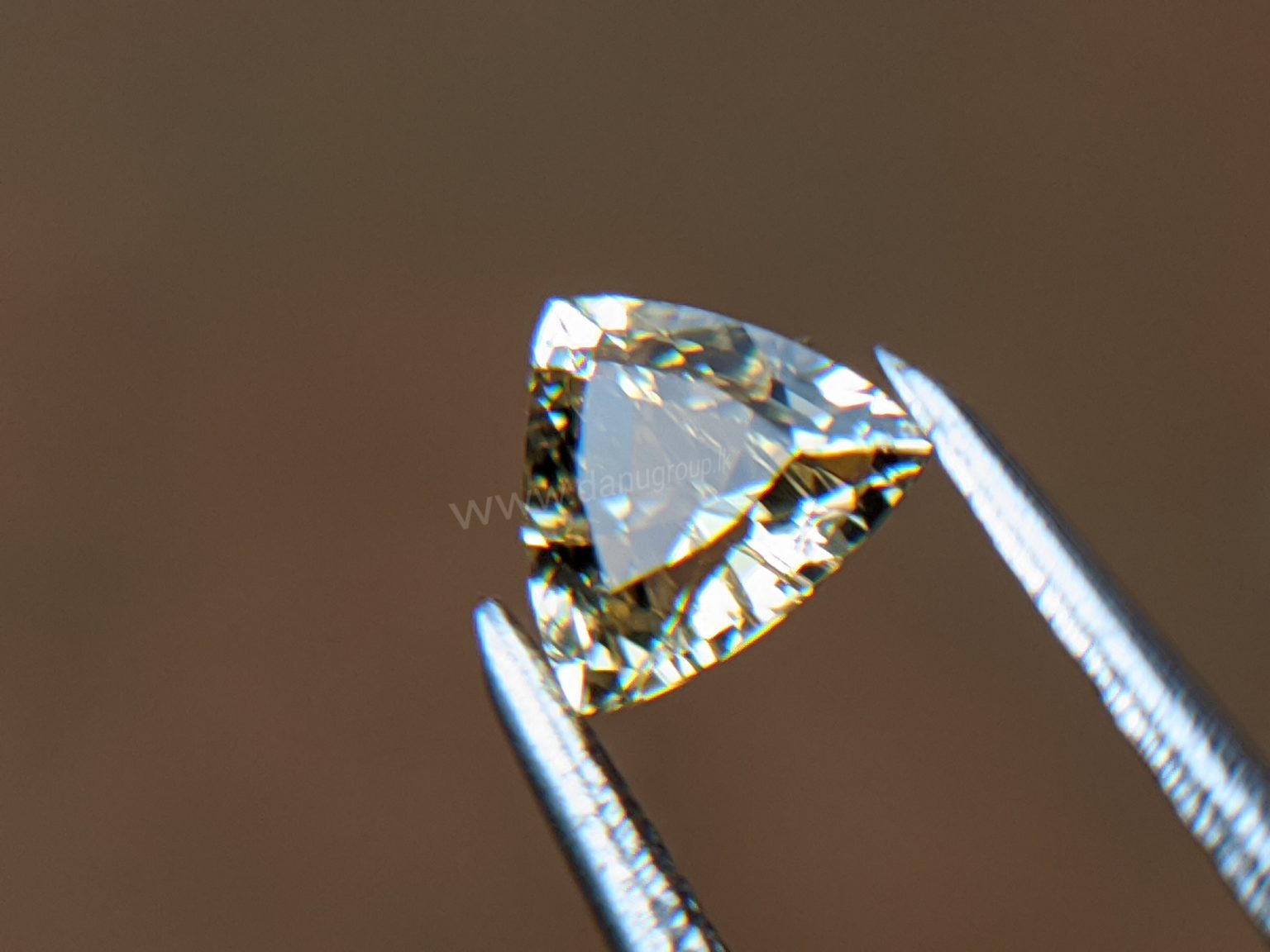 Ceylon Natural Yellow Sapphire from Danu Group Gemstones Collection Gem City