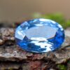 Ceylon Natural Cornflower Blue Sapphire Sri Lanka - Danu Group Gemstones