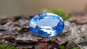 Ceylon Natural Cornflower Blue Sapphire Sri Lanka - Danu Group Gemstones