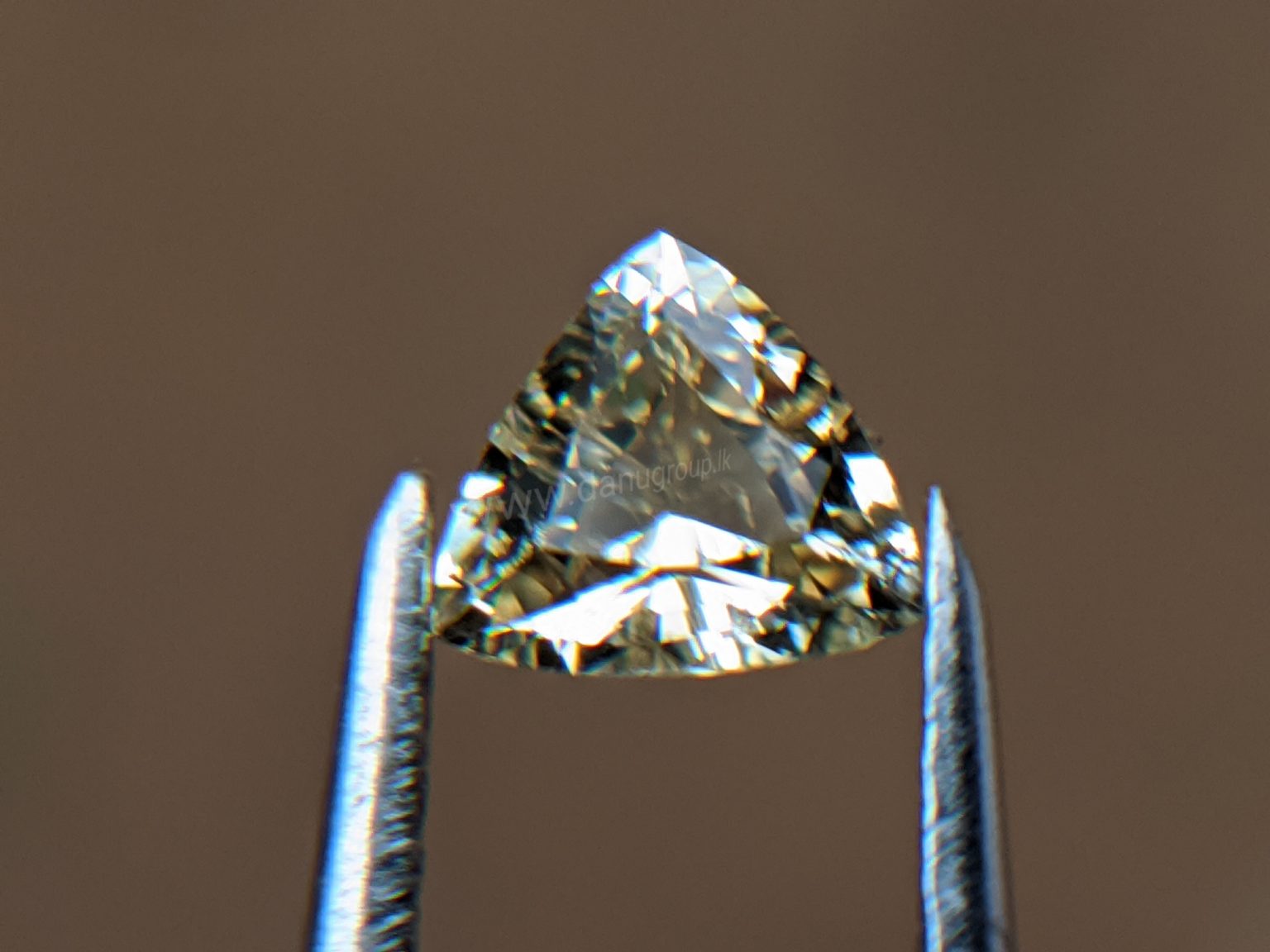 Ceylon Natural Yellow Sapphire from Danu Group Gemstones Collection Gem City