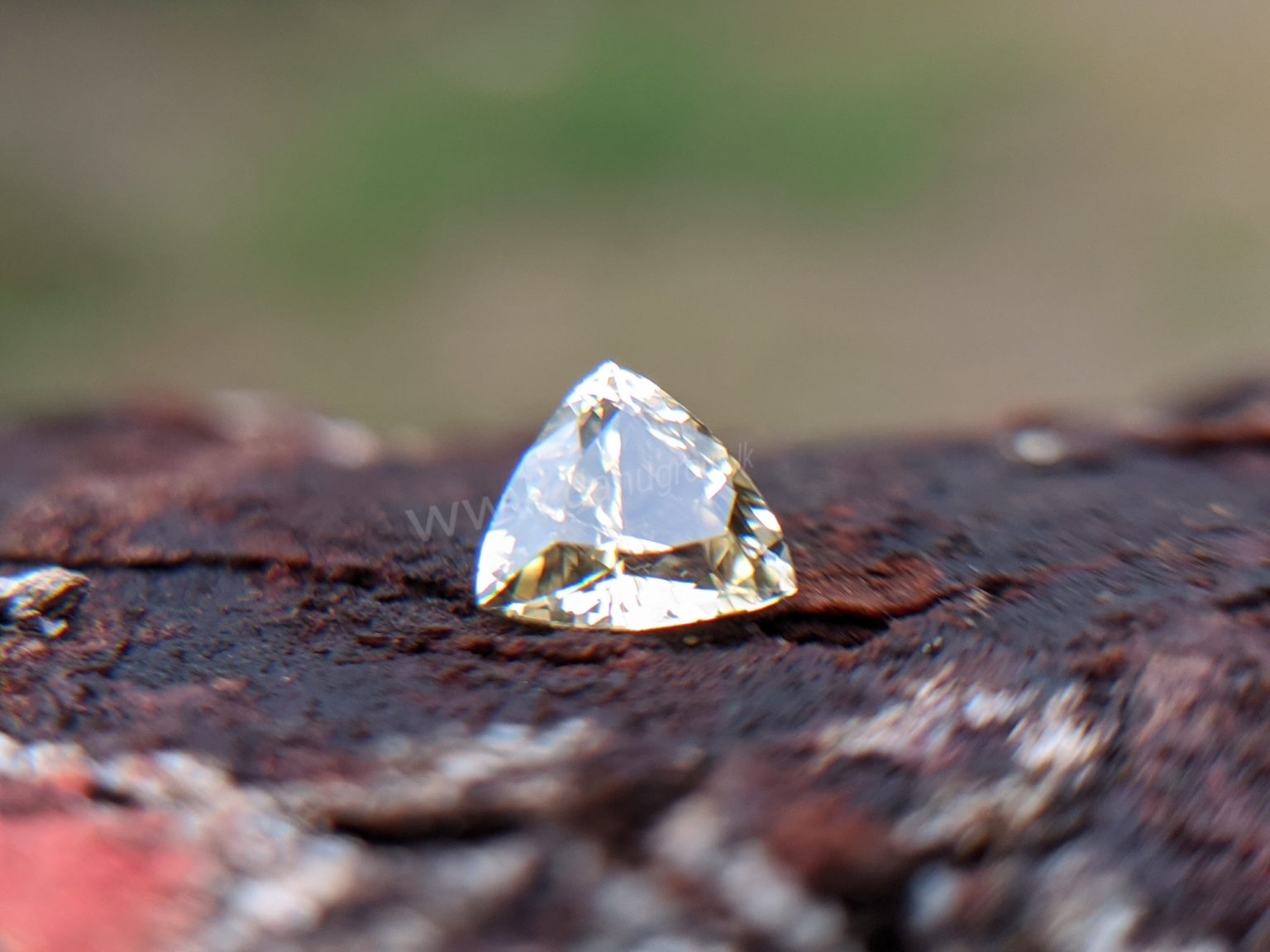Ceylon Natural Yellow Sapphire from Danu Group Gemstones Collection Gem City