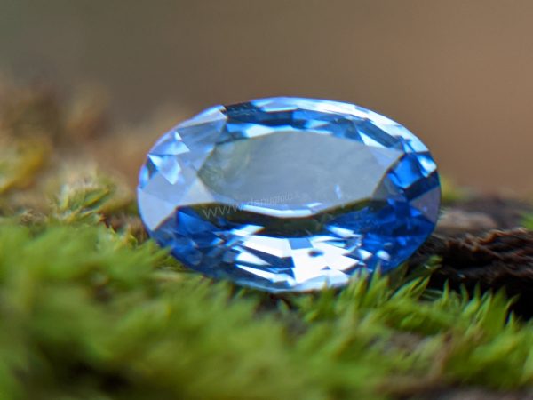 Ceylon Natural Cornflower Blue Sapphire Sri Lanka - Danu Group Gemstones