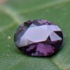 Ceylon Natural Purple Spinel from Danu Group Gemstones Collection - Oval Shape Spinel