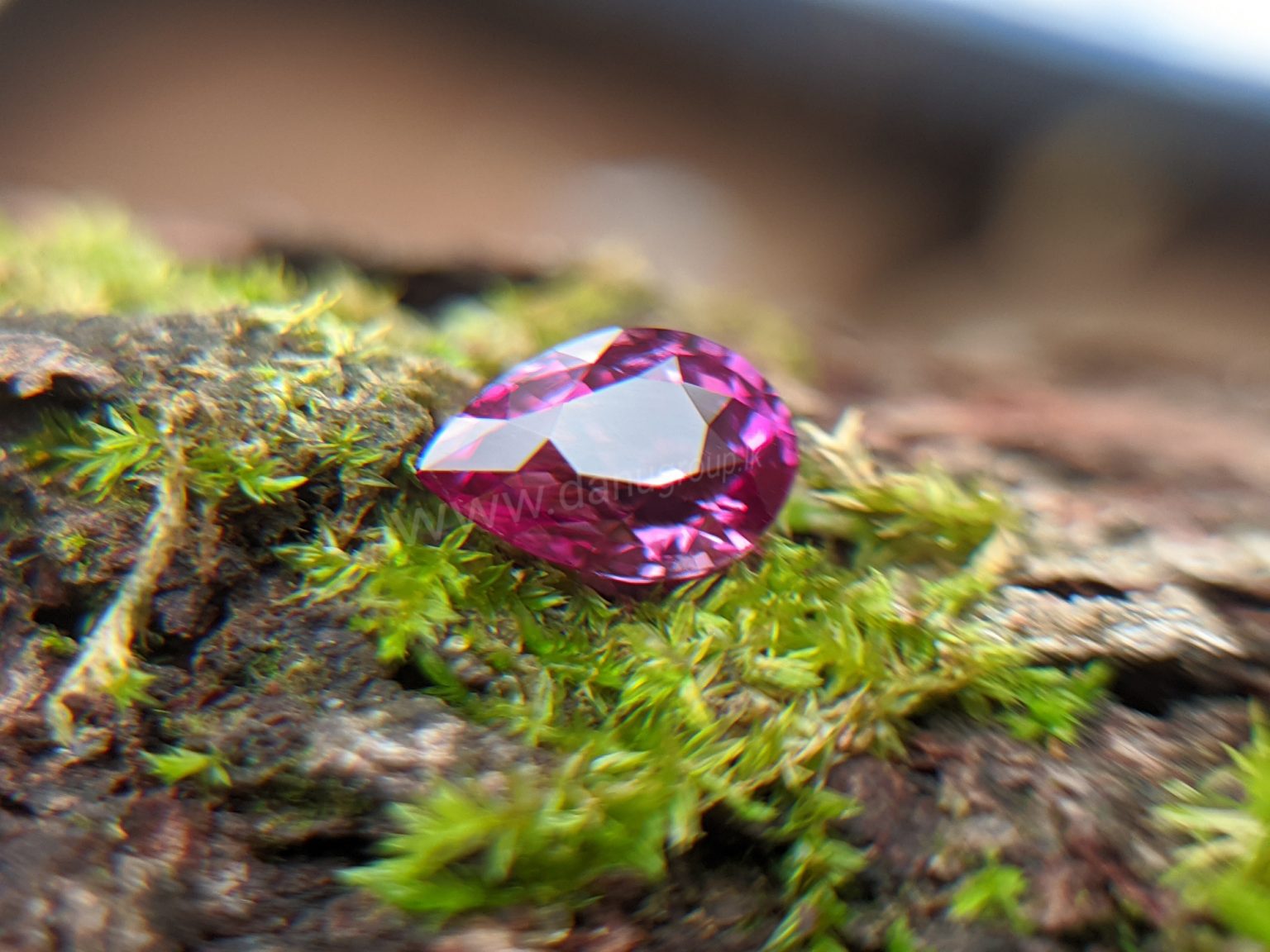Ceylon Natural Pear Shape Pink Sapphire Gemstone from Danu Group Gemstones Mining