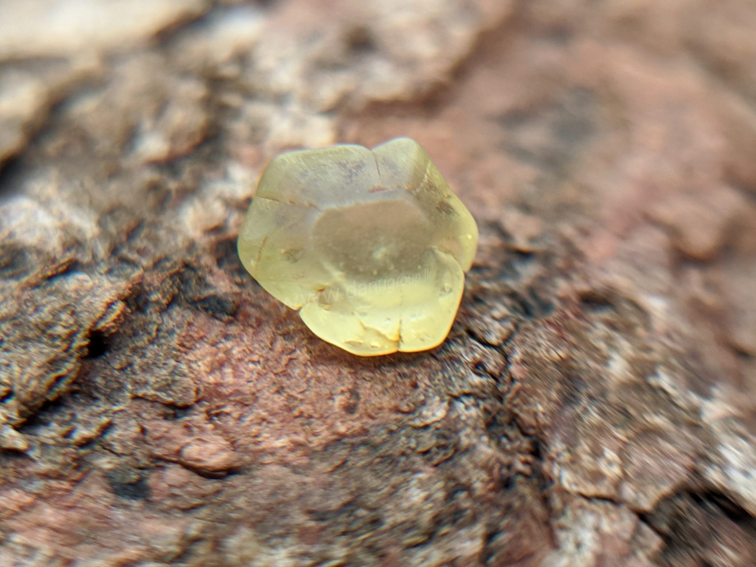Ceylon Natural chrysoberyl Rare Crystal from Danu Group Gemstones Mining
