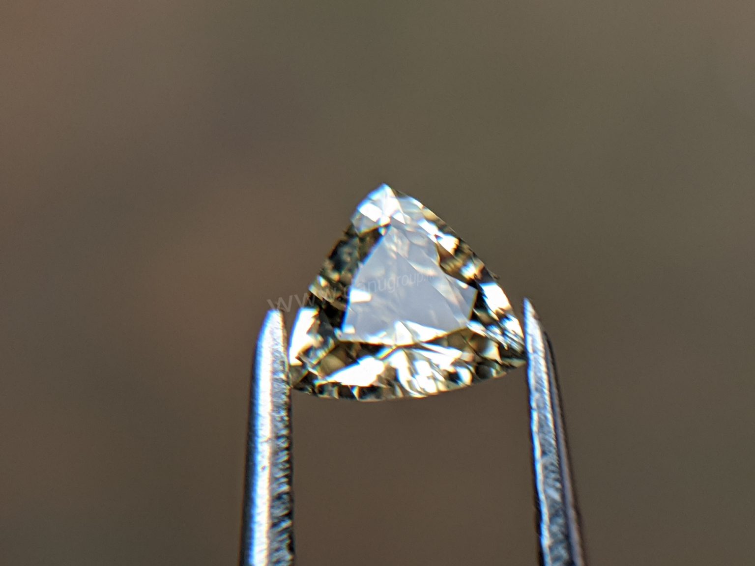 Ceylon Natural Yellow Sapphire from Danu Group Gemstones Collection Gem City