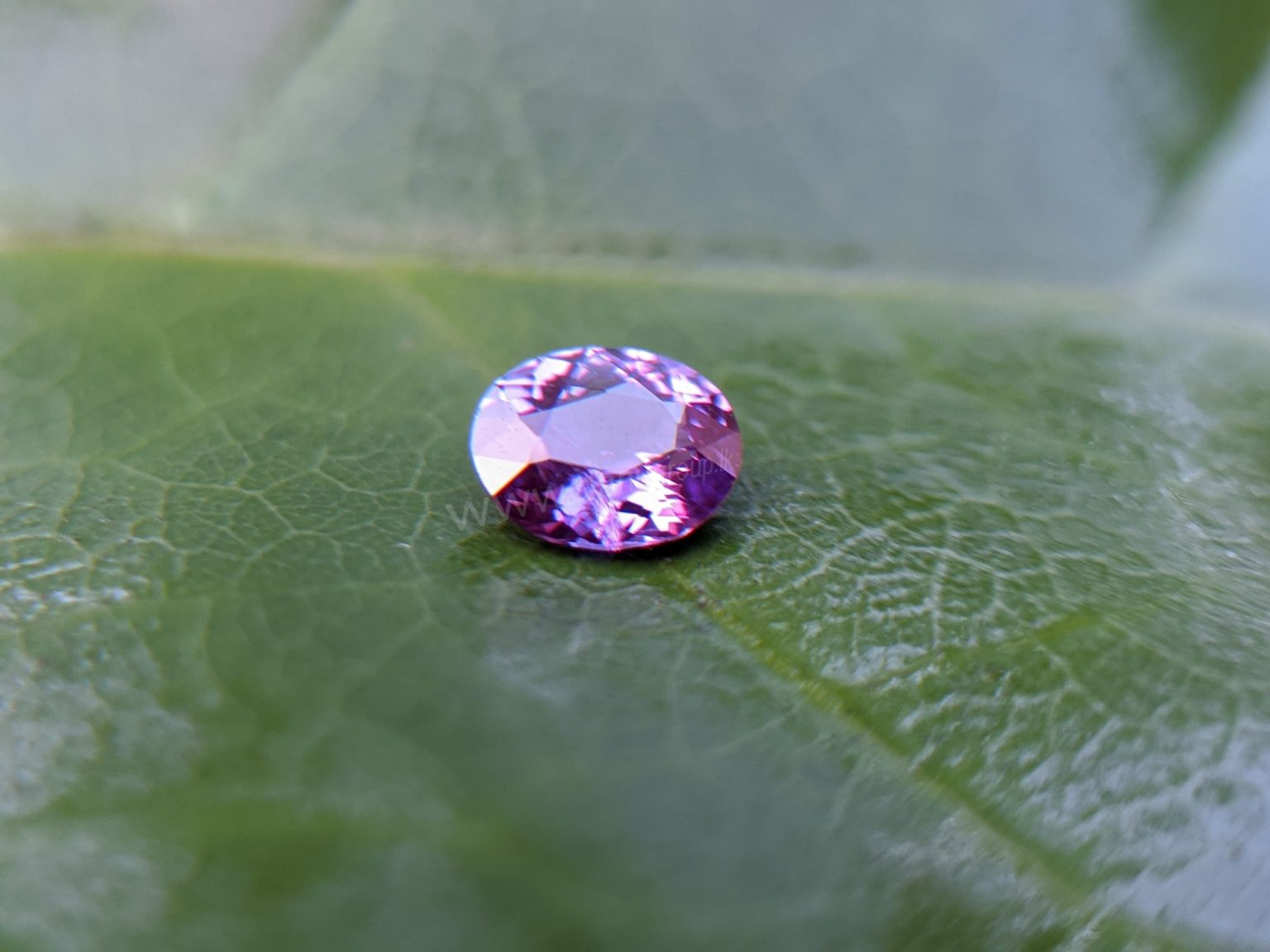 Ceylon Natural Purple Sapphire Gemstones Danu Group Gemstones Collection