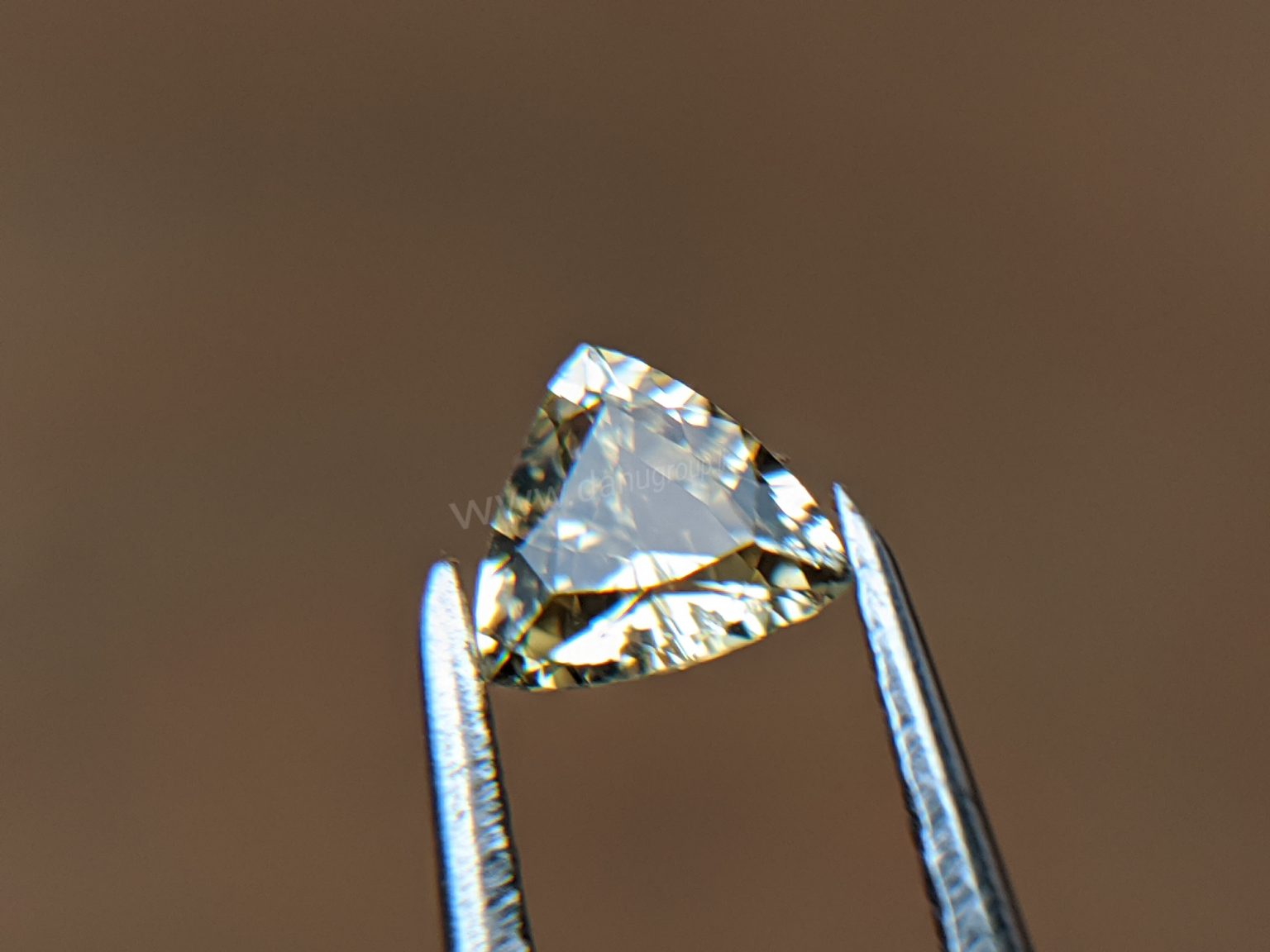 Ceylon Natural Yellow Sapphire from Danu Group Gemstones Collection Gem City