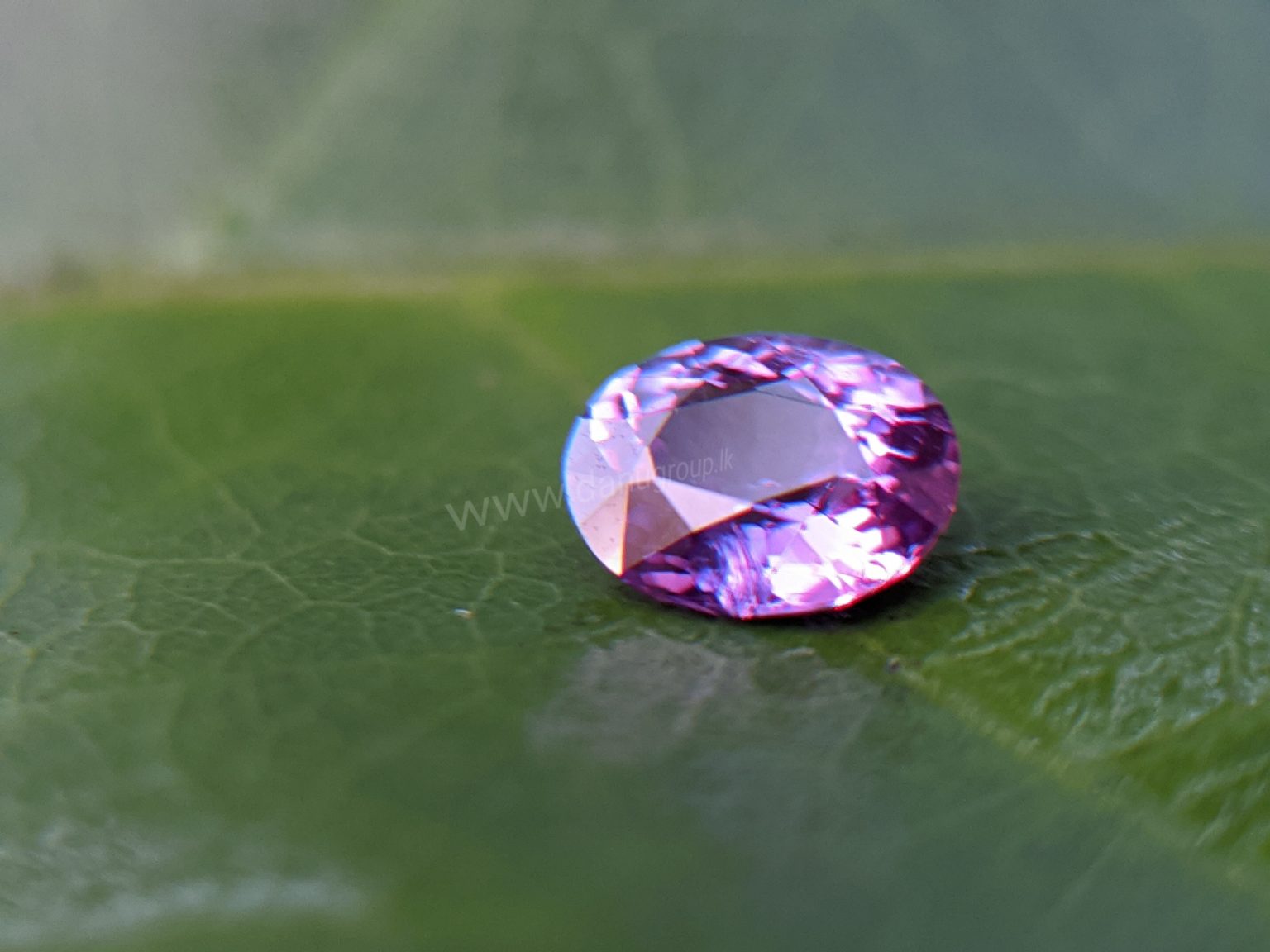 Ceylon Natural Purple Sapphire Gemstones Danu Group Gemstones Collection