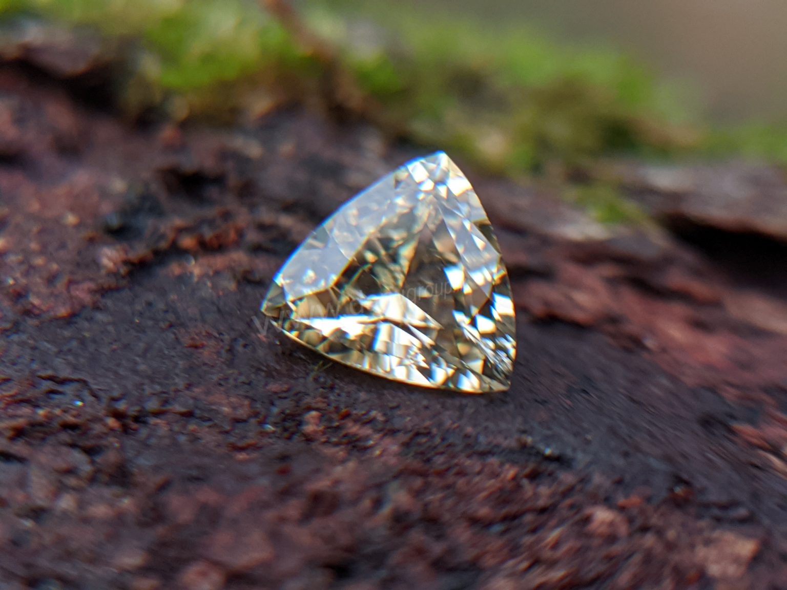 Ceylon Natural Yellow Sapphire from Danu Group Gemstones Collection Gem City