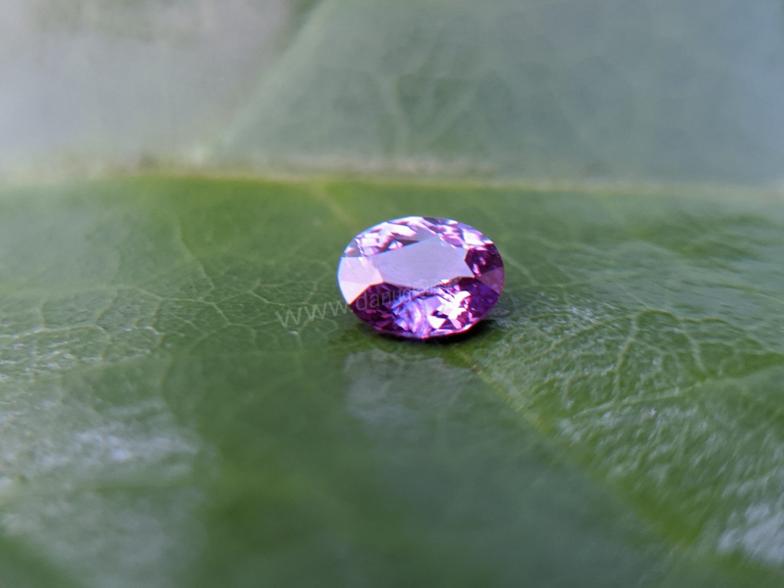 Ceylon Natural Purple Sapphire Gemstones Danu Group Gemstones Collection
