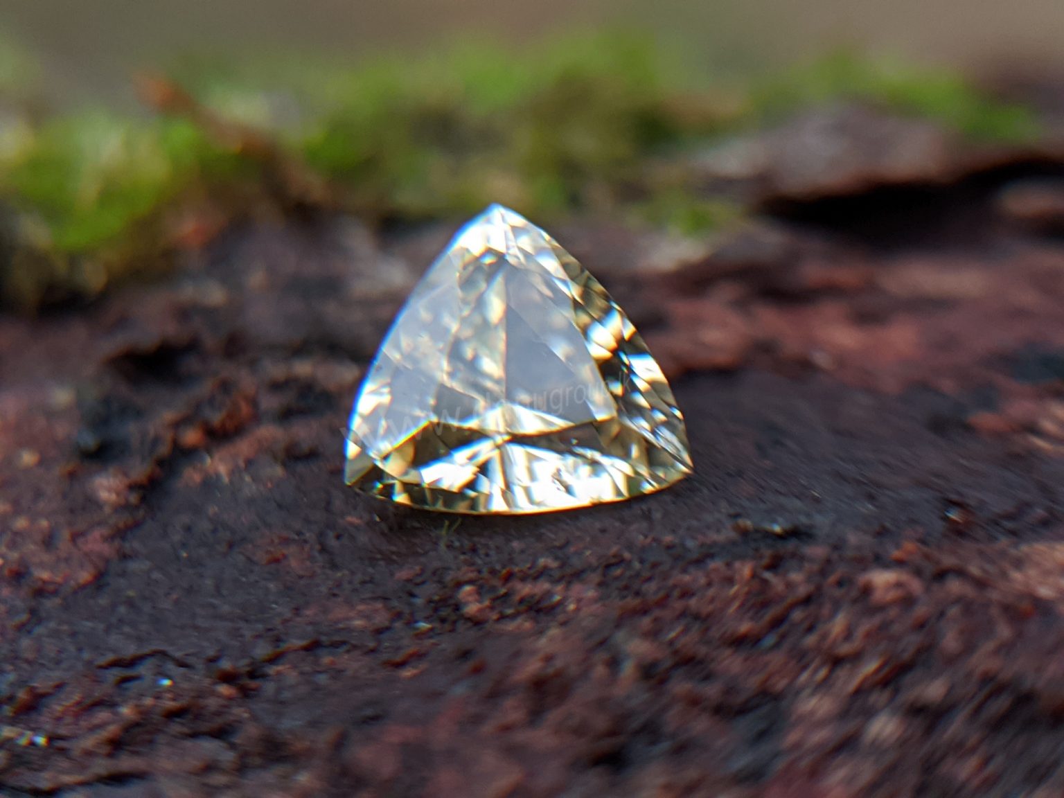 Ceylon Natural Yellow Sapphire from Danu Group Gemstones Collection Gem City