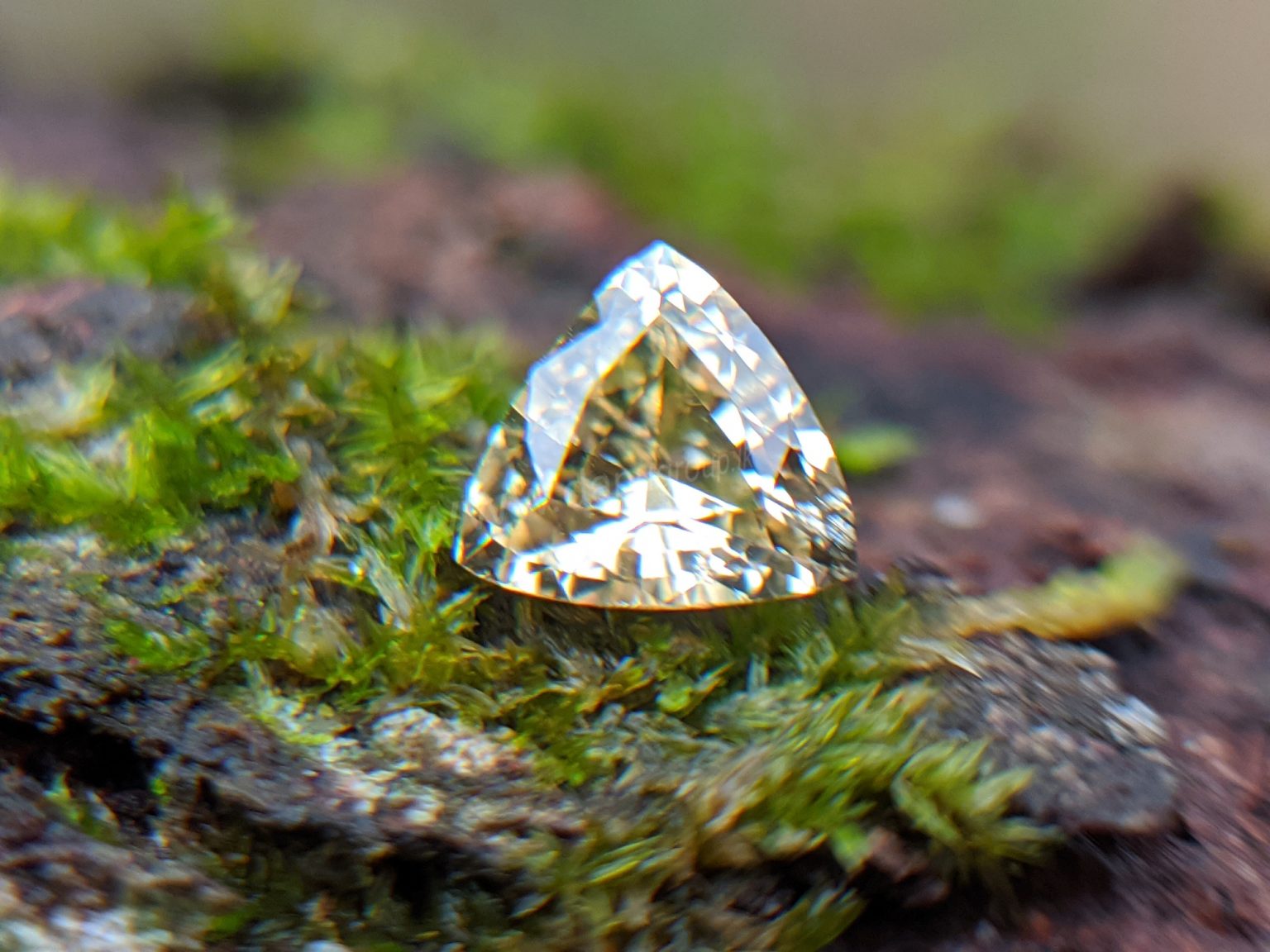 Ceylon Natural Yellow Sapphire from Danu Group Gemstones Collection Gem City