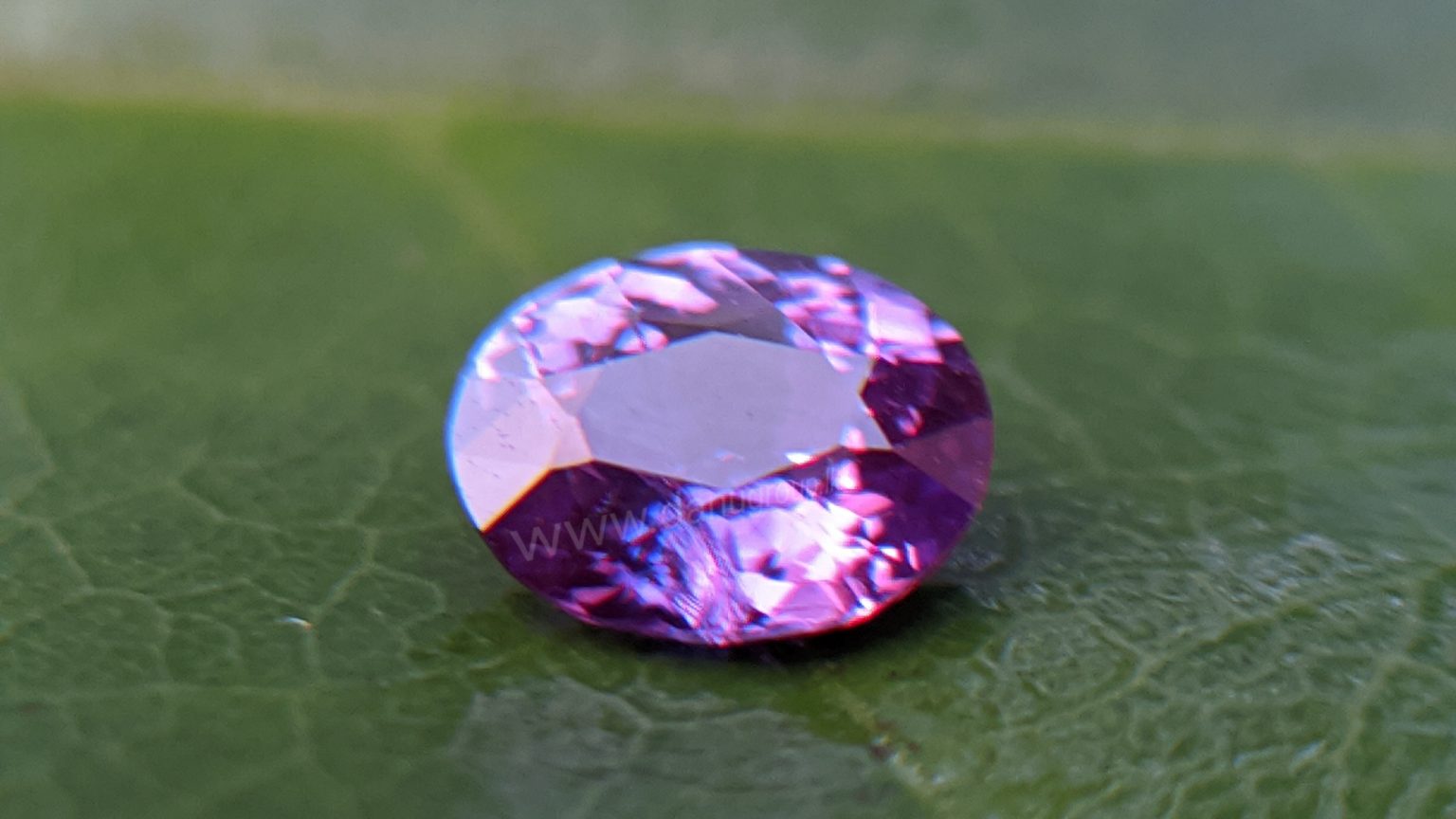 Ceylon Natural Purple Sapphire Gemstones Danu Group Gemstones Collection