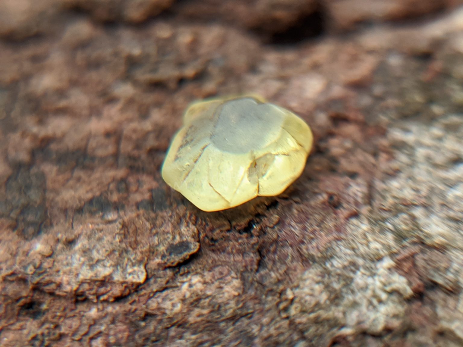 Ceylon Natural chrysoberyl Rare Crystal from Danu Group Gemstones Mining