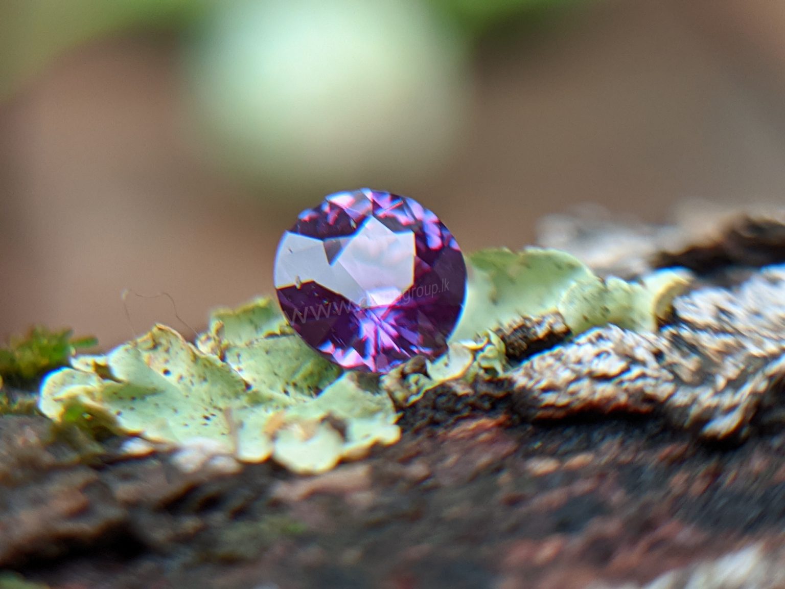 Ceylon Natural Purple Sapphire Gemstones Danu Group Gemstones Collection
