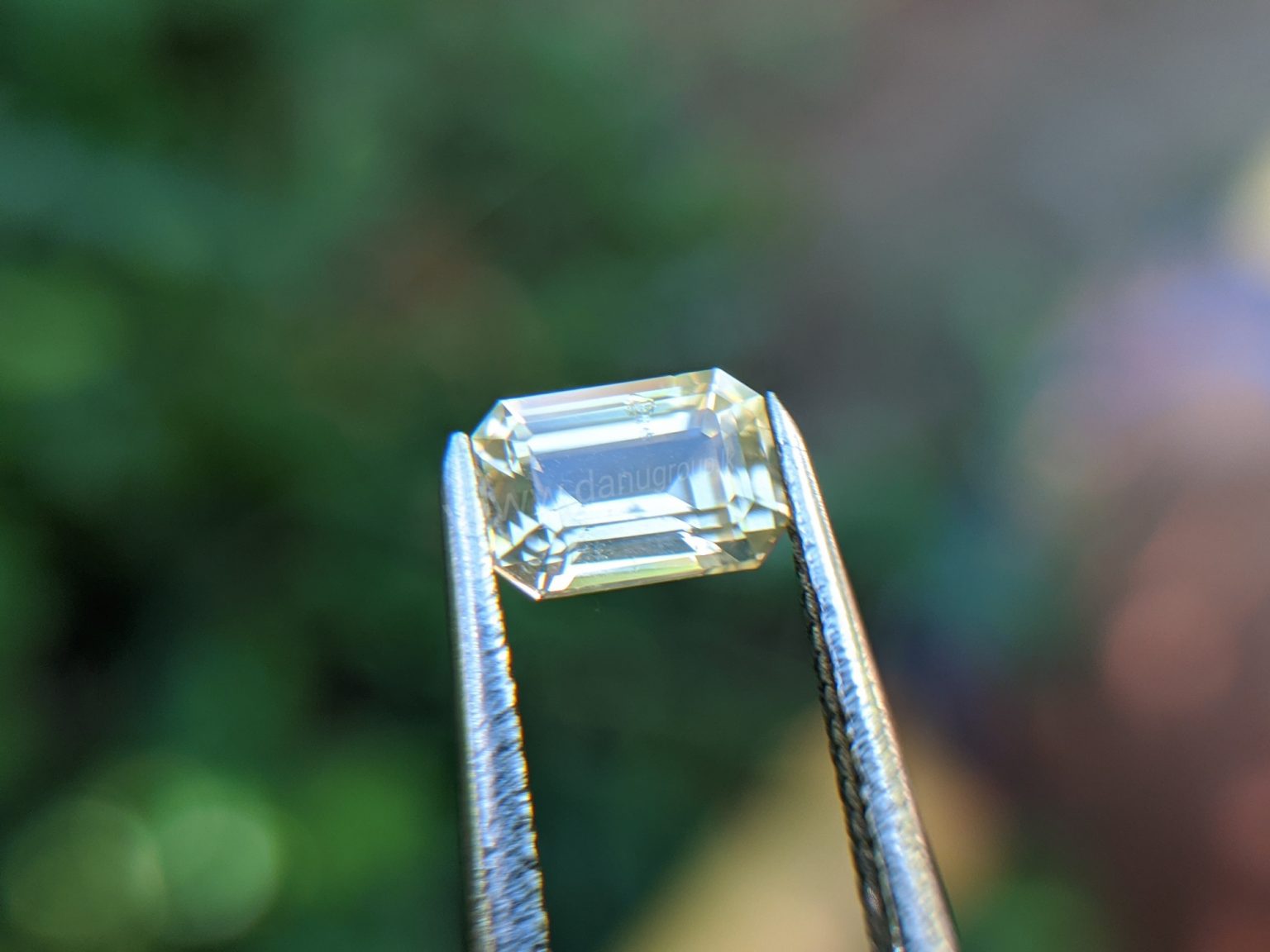 Ceylon Natural Yellow Sapphire from Danu Group Gemstones Collection