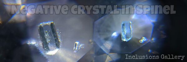 negative-crystal-Inclusion-in-natural-spinel-Danu-group-Inclusions-gallery