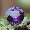 Ceylon Natural Purple Sapphire Gemstones Danu Group Gemstones Collection