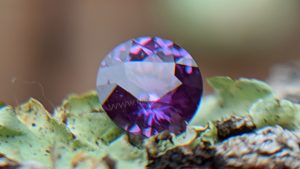Ceylon Natural Purple Sapphire Gemstones Danu Group Gemstones Collection