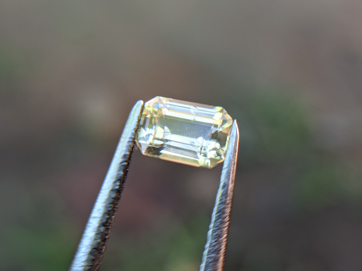 Ceylon Natural Yellow Sapphire from Danu Group Gemstones Collection