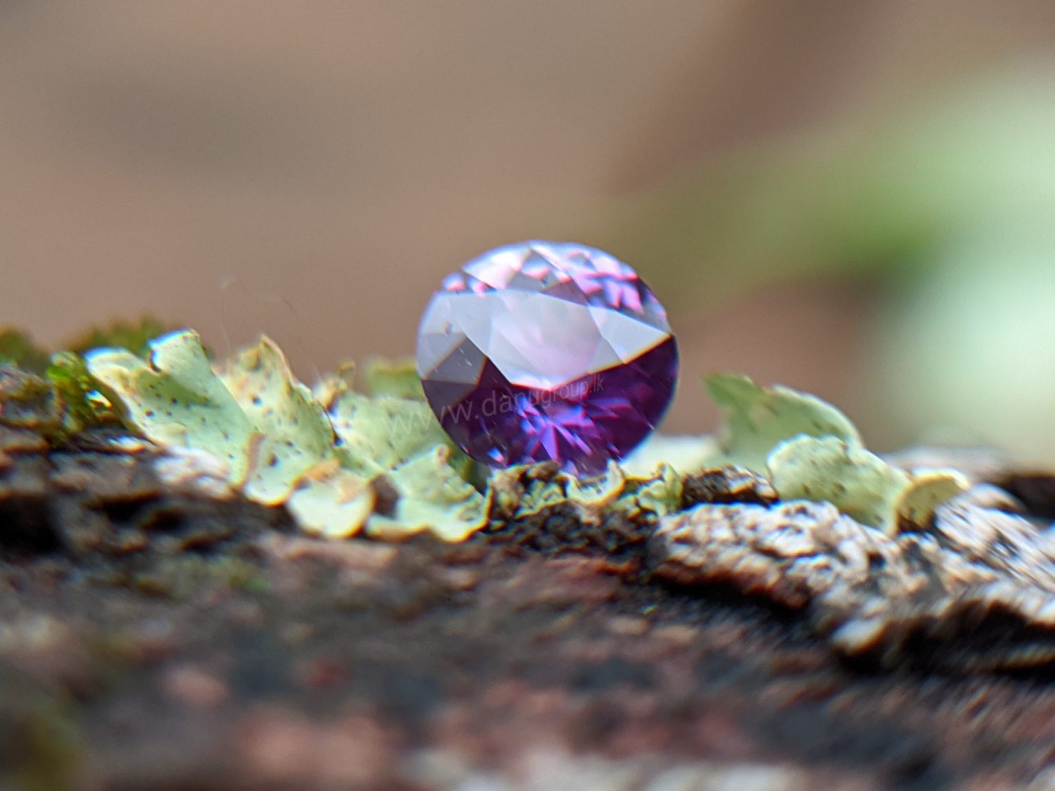Ceylon Natural Purple Sapphire Gemstones Danu Group Gemstones Collection