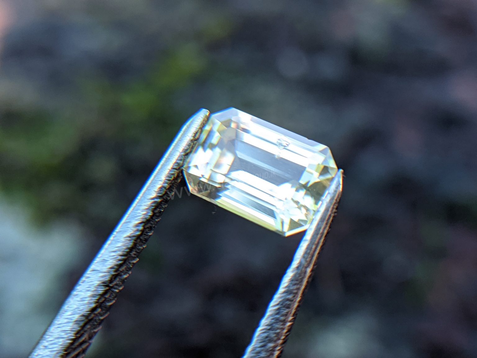 Ceylon Natural Yellow Sapphire from Danu Group Gemstones Collection